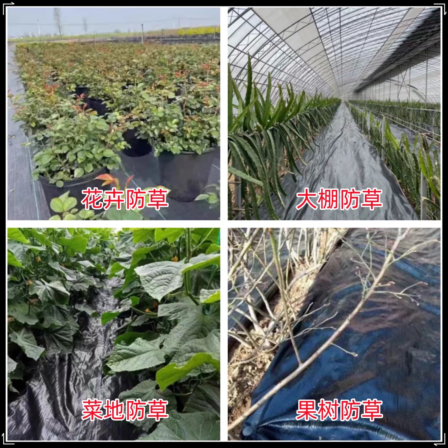 齐齐哈尔市塑料薄膜防草布 - 价格