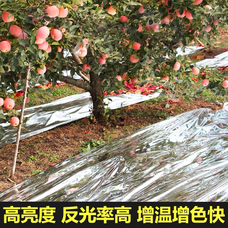 齐齐哈尔市农用薄膜果树反光膜 - 方案